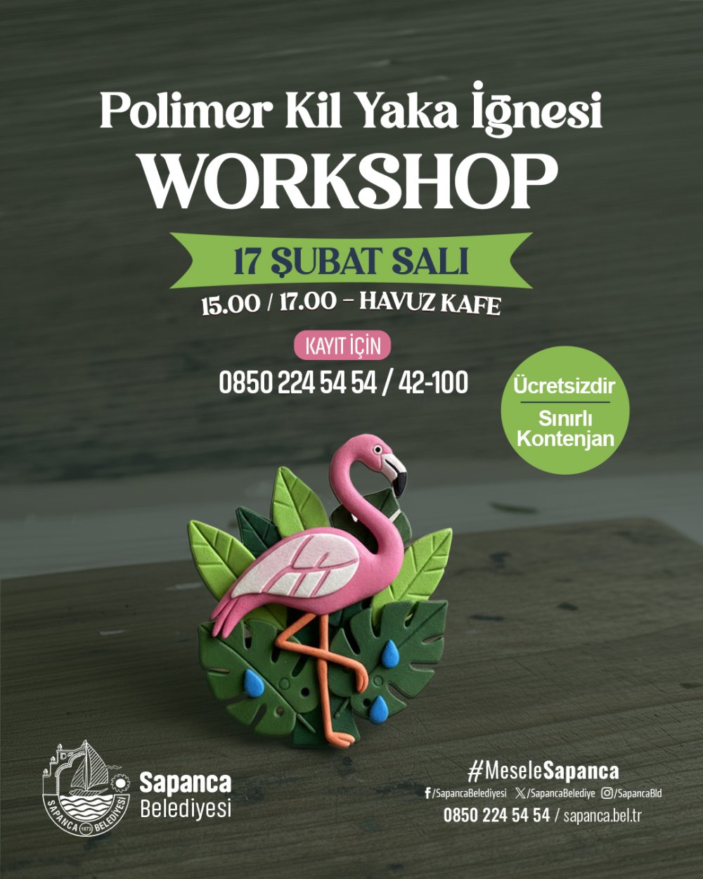 Polimer Kil Yaka İgnesi