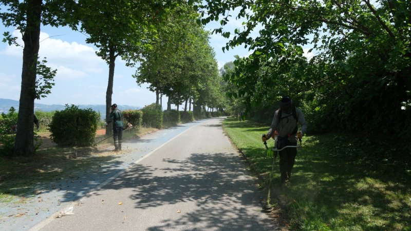 Sapanca Belediyesi’nden Kurban Bayramı Hazırlıkları